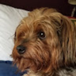 Meet your Posher, Sherry